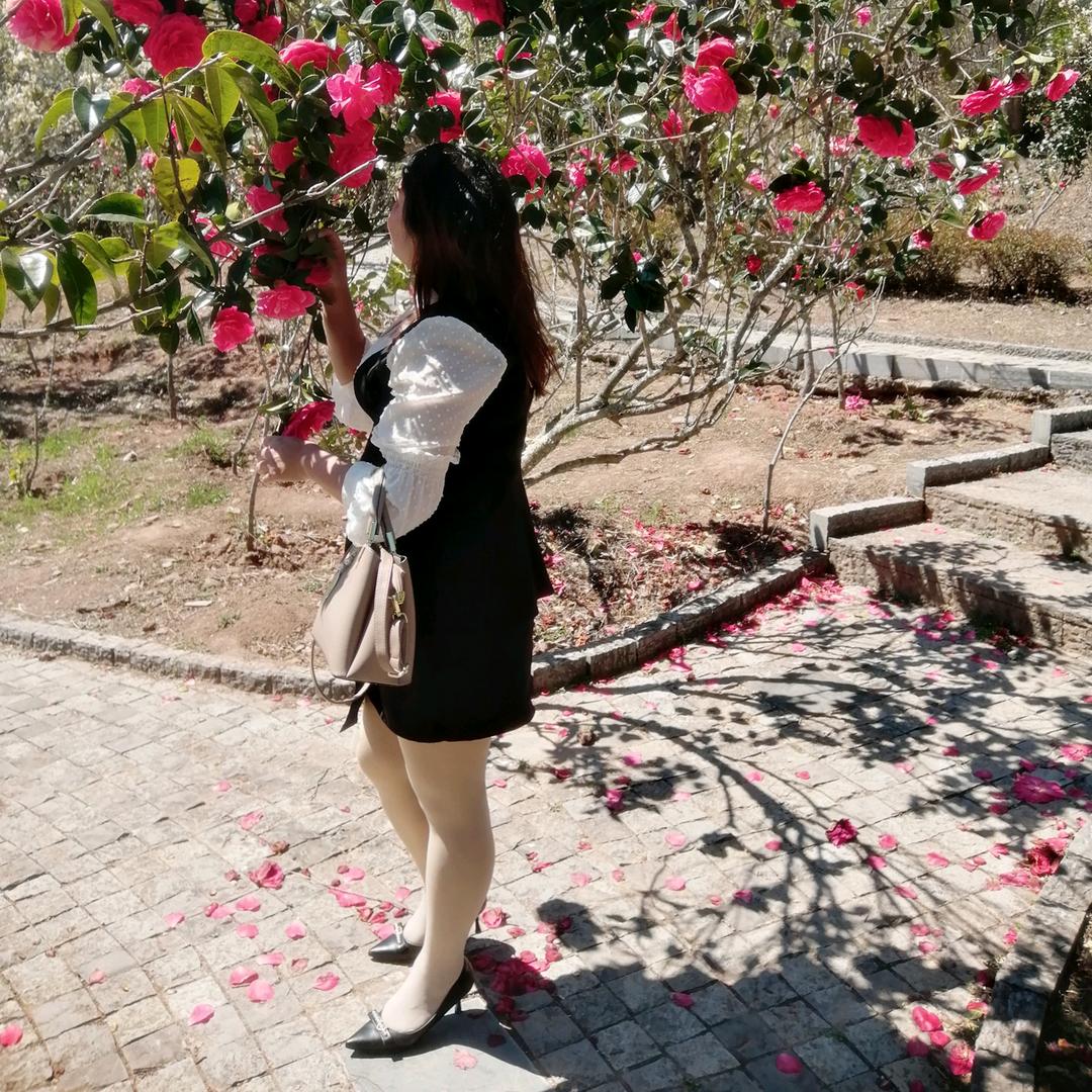 岁月温柔！🌸🍀