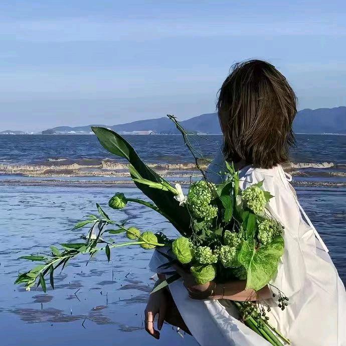 河南省沐晴汽车用品有限公司