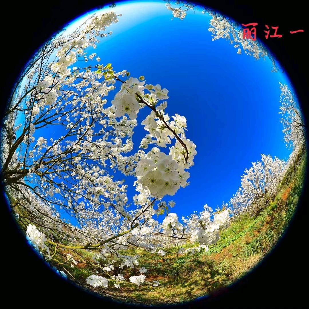如歌的行板