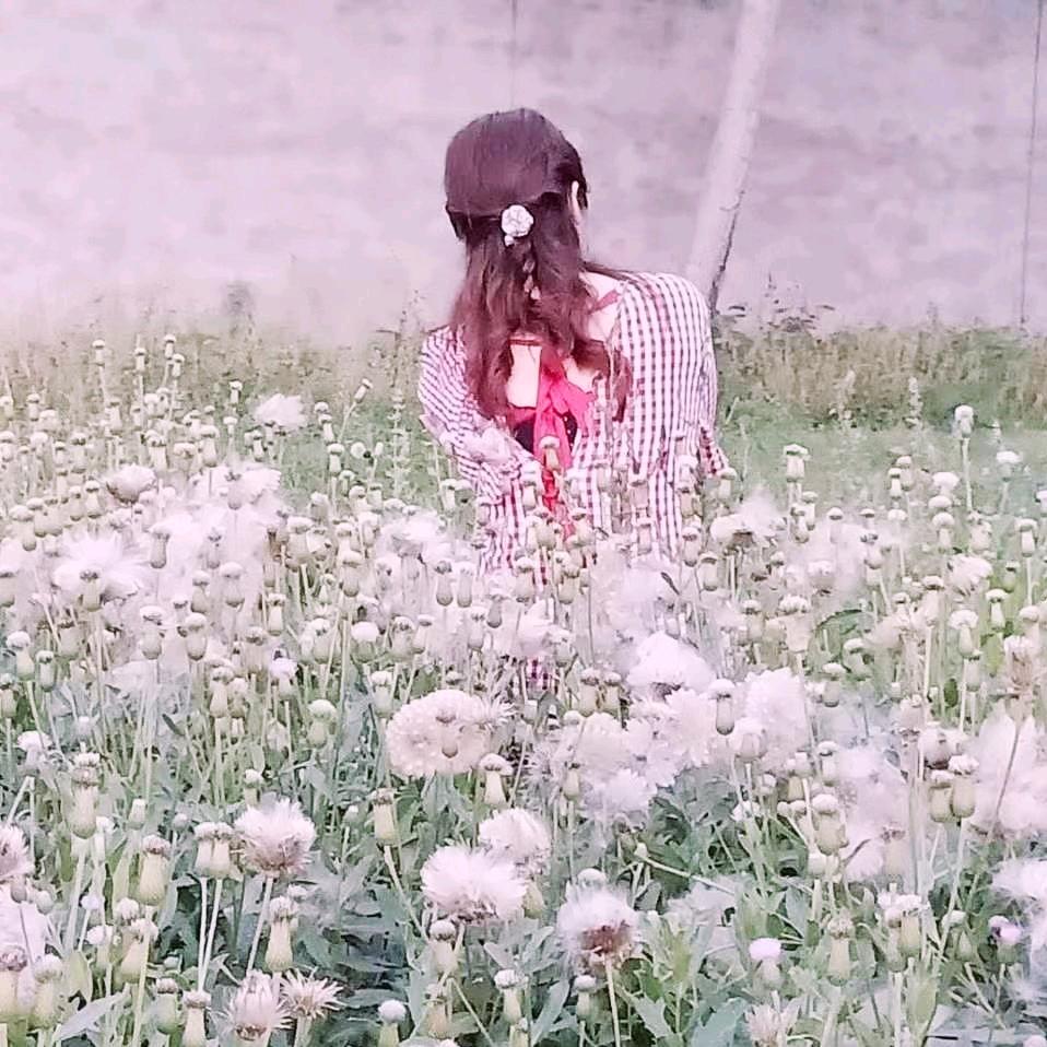 李紫梦