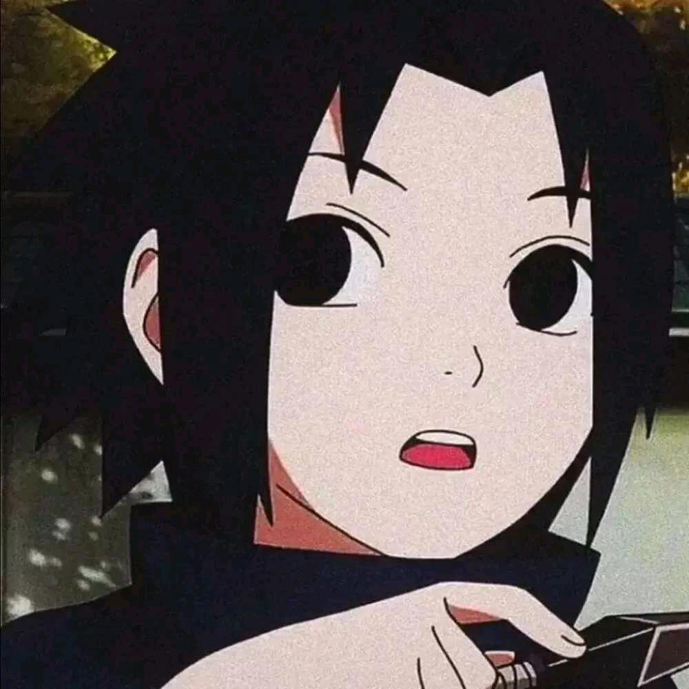 ㅤ🐷