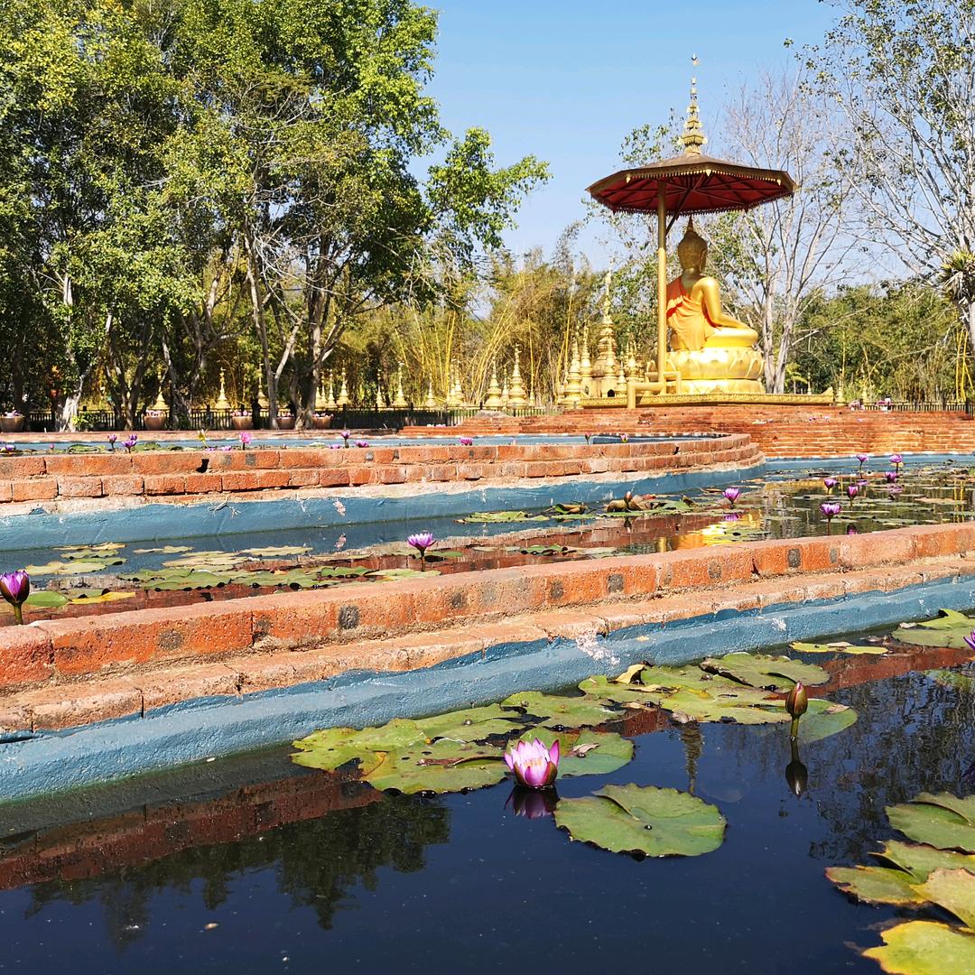 法合🇨🇳☀️