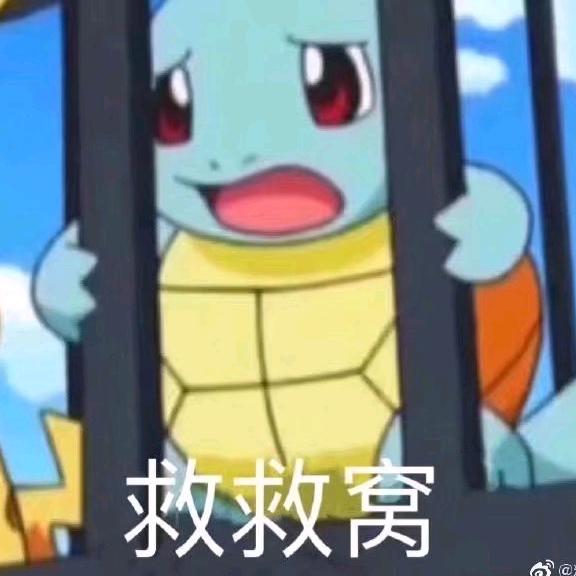 在宇小王行🐵
