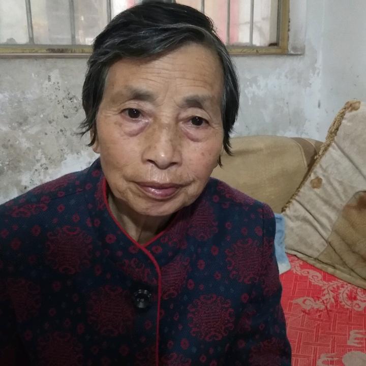 长青树