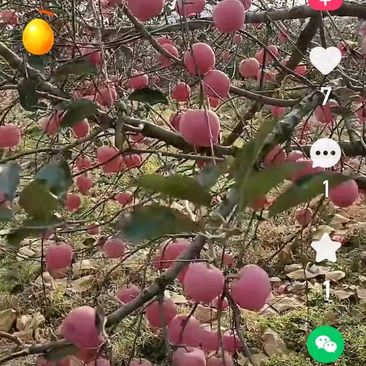 一