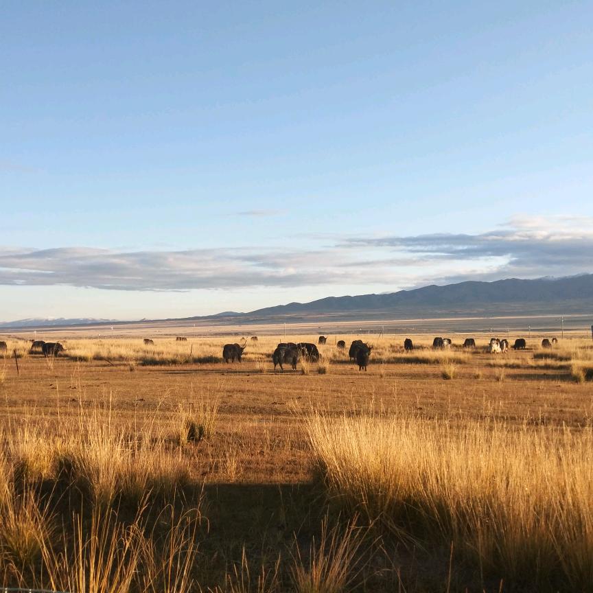 水中天生态农庄官方号