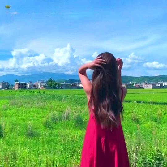 大河旅游