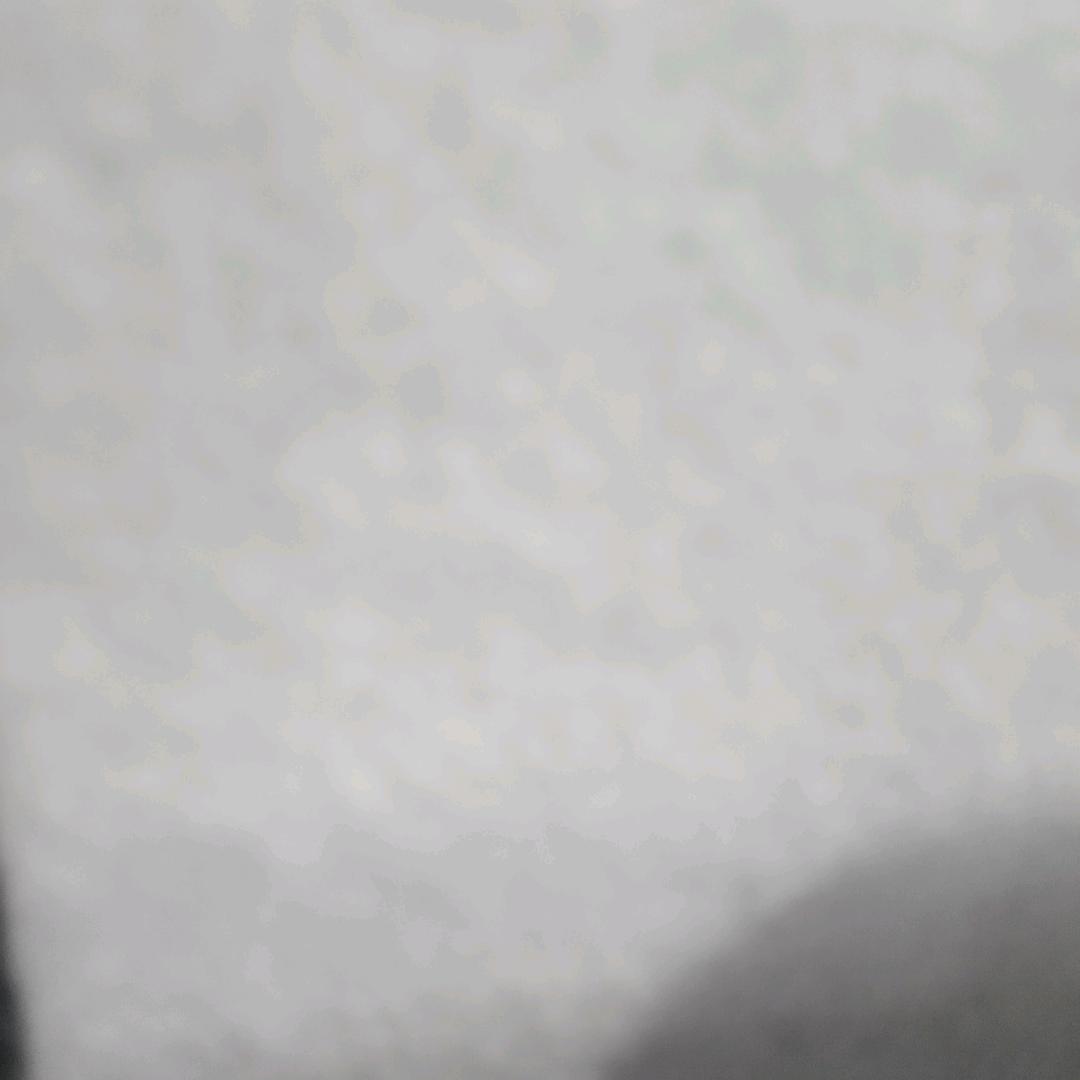刘生生