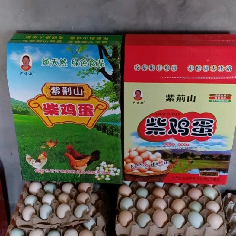 敏姐养鸡