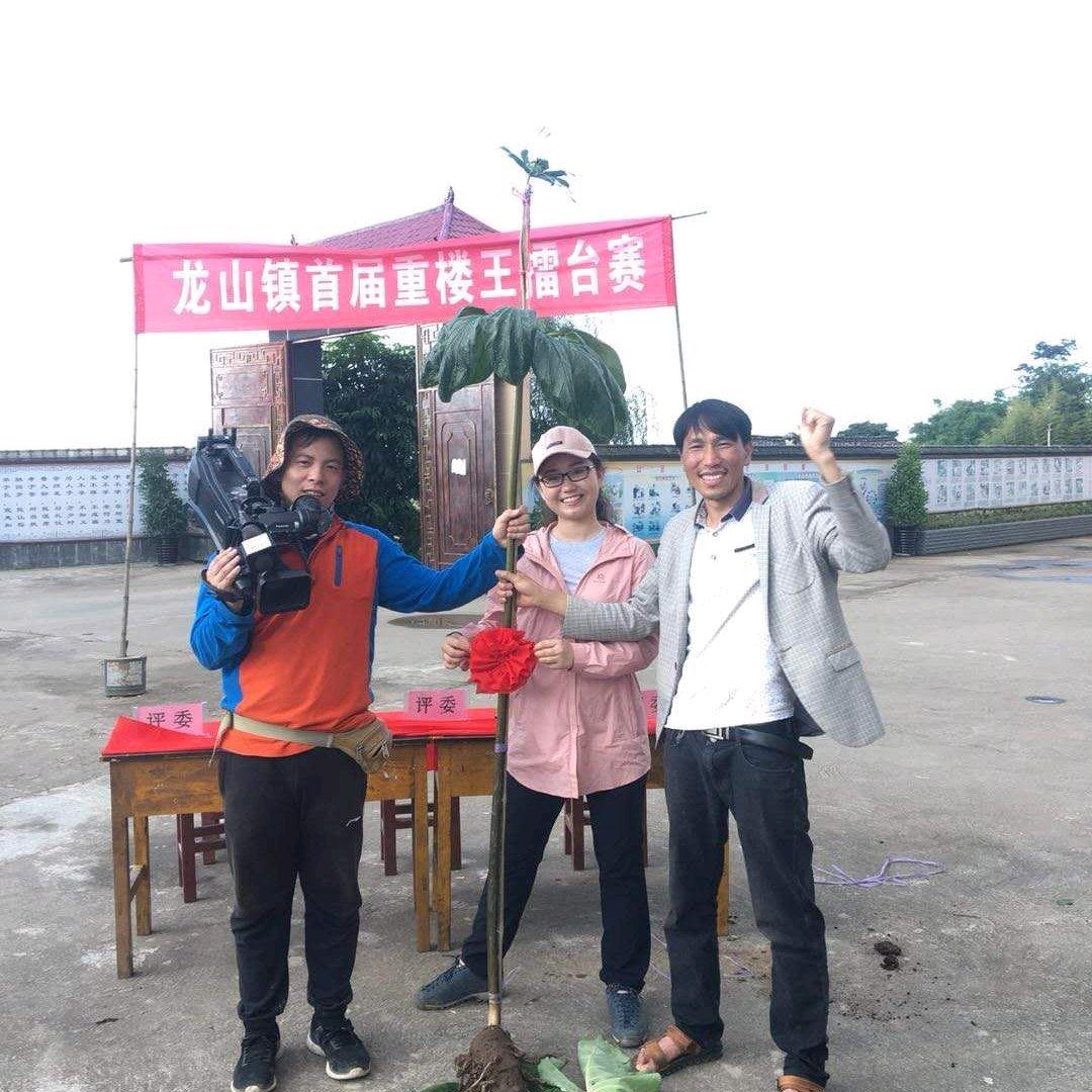 重楼王小店