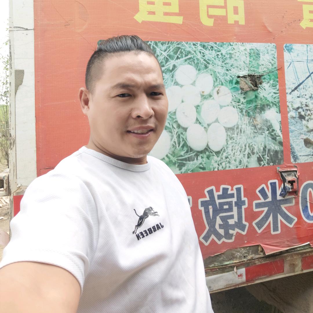 苏北农村散养土鸡蛋