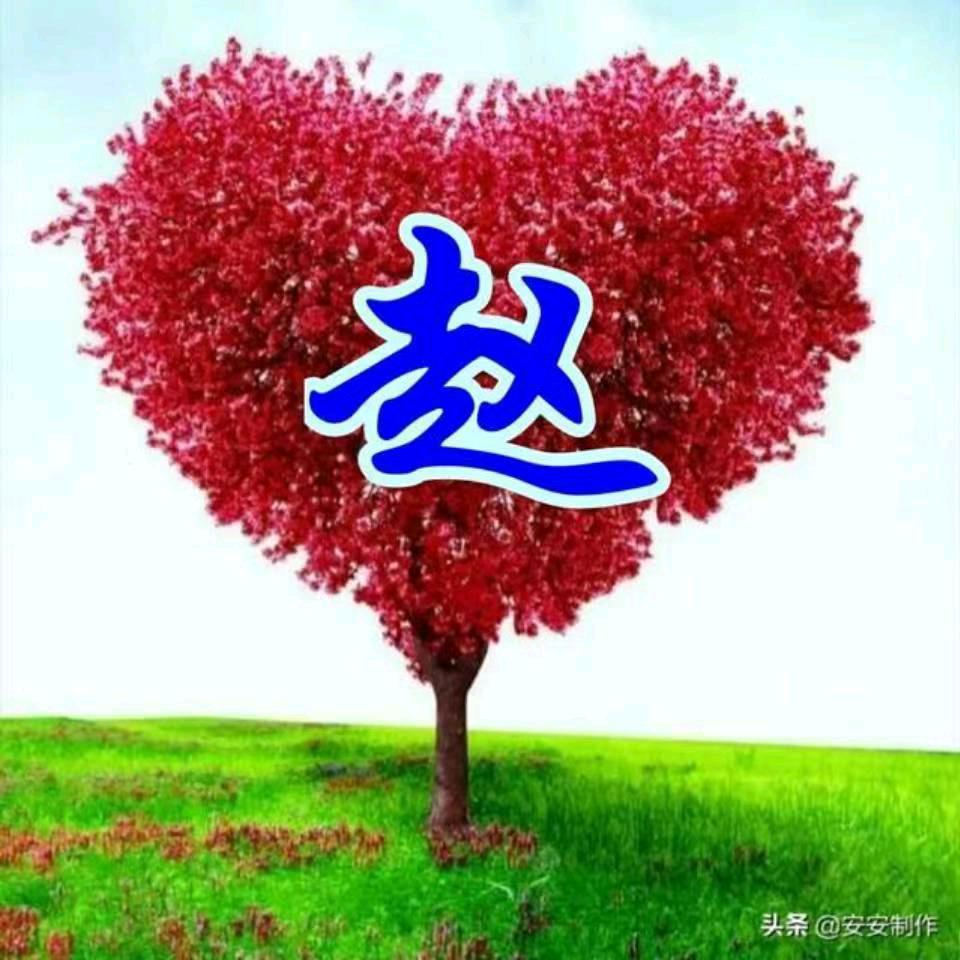 赵