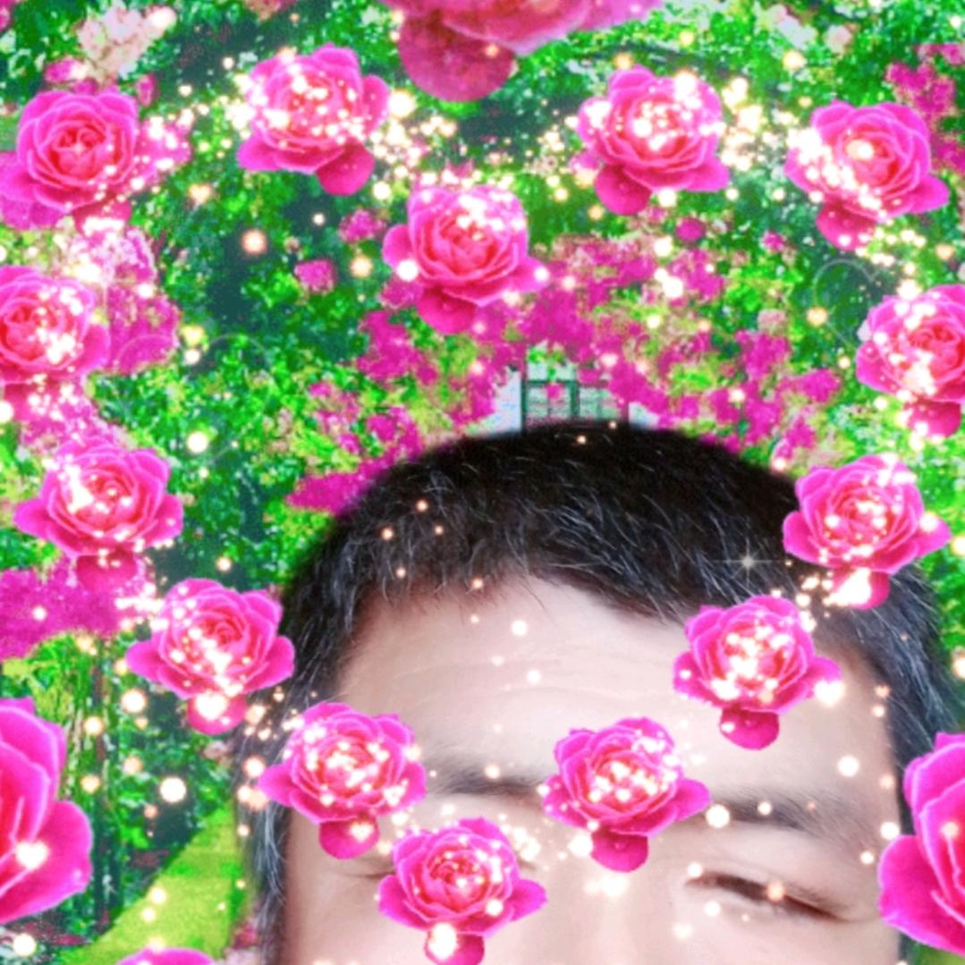 真爱一生