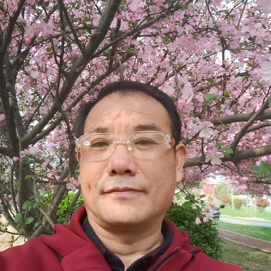 马改变，每天上午九点十分开播。