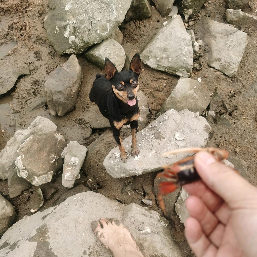 海的味道