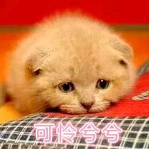 错过了站台