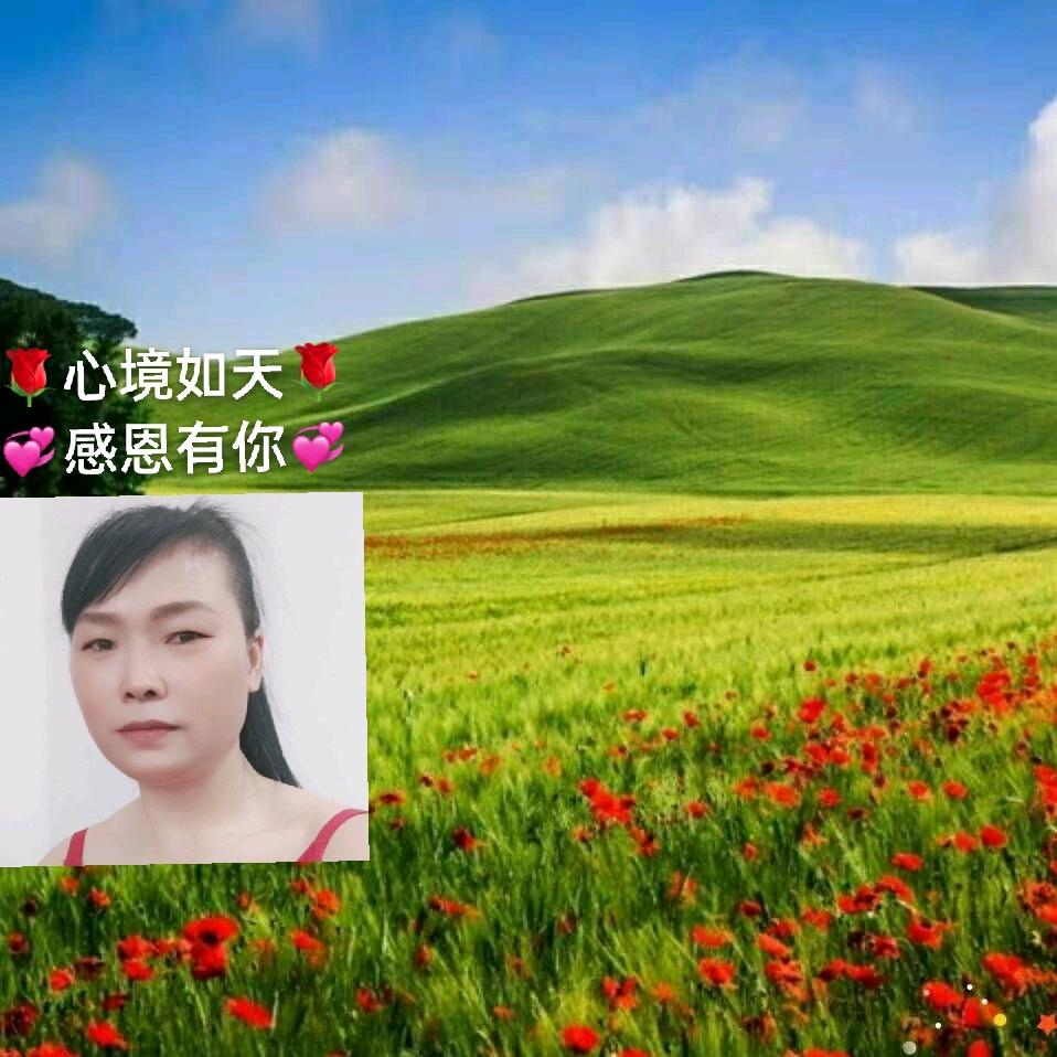 🌹慎爱🌹