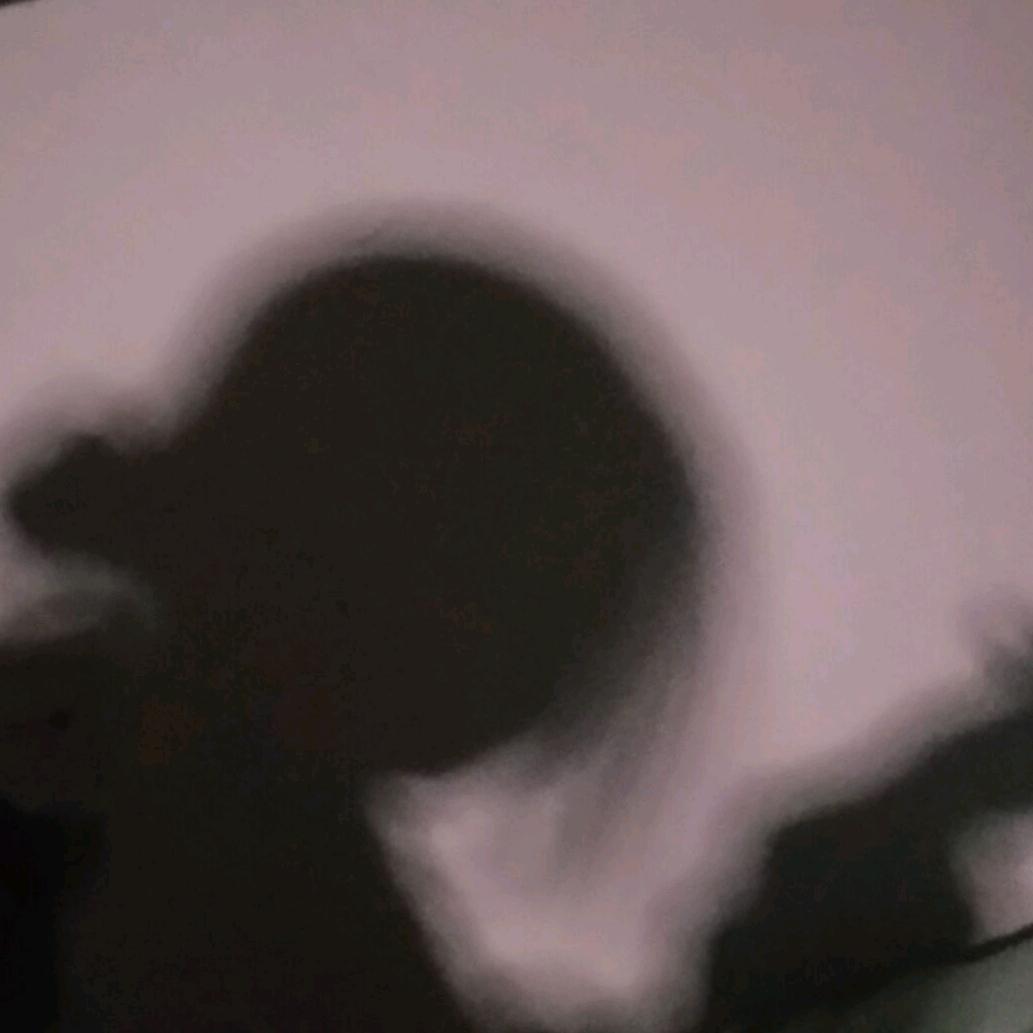爱吃菠萝