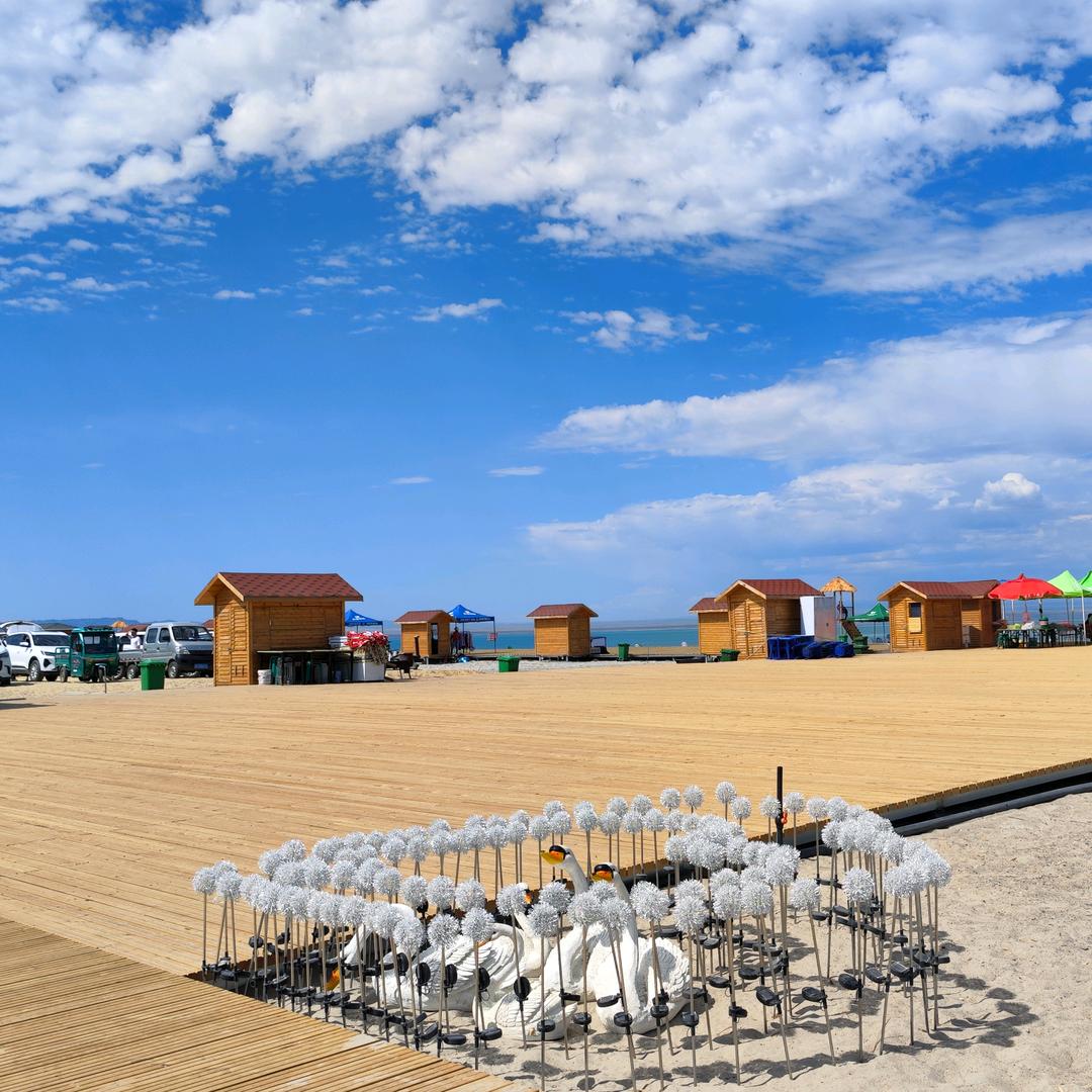 轮挖三姐（傲蝶）