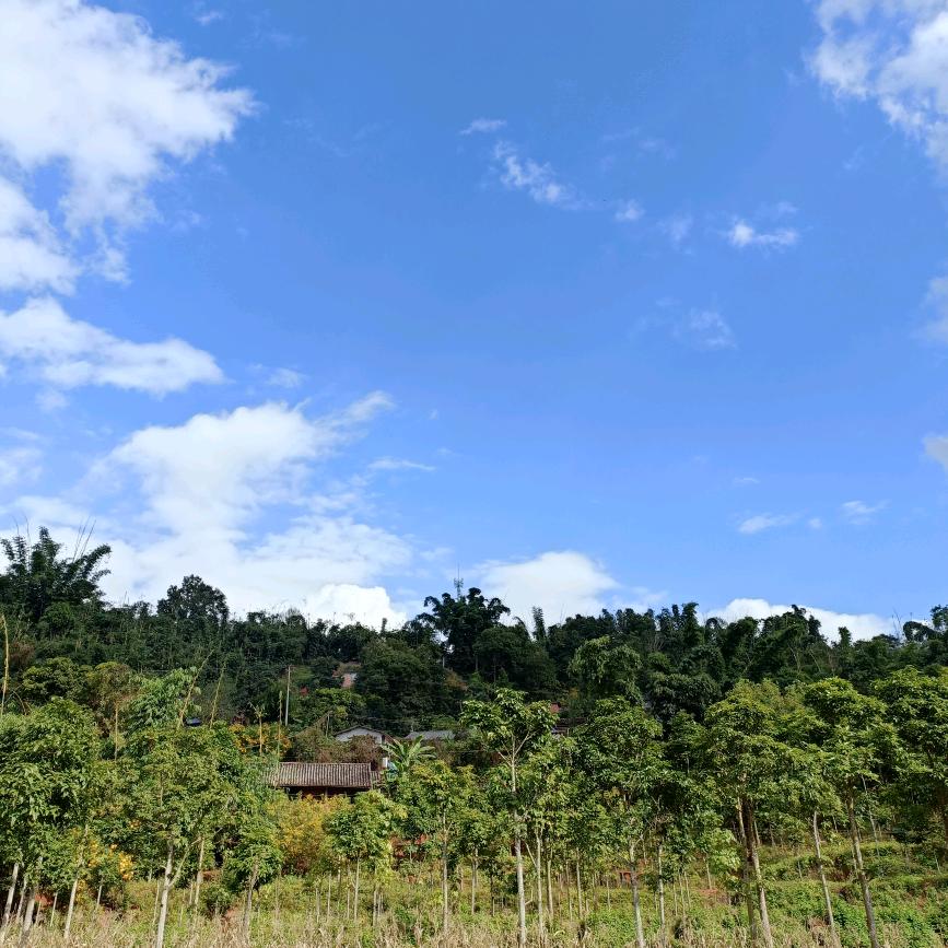 传心陶建水紫陶