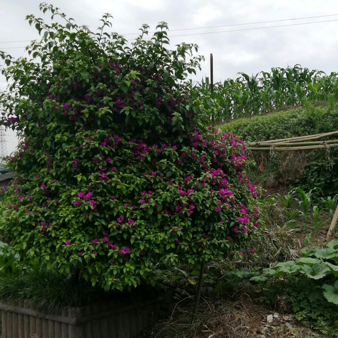 在身边不珍惜