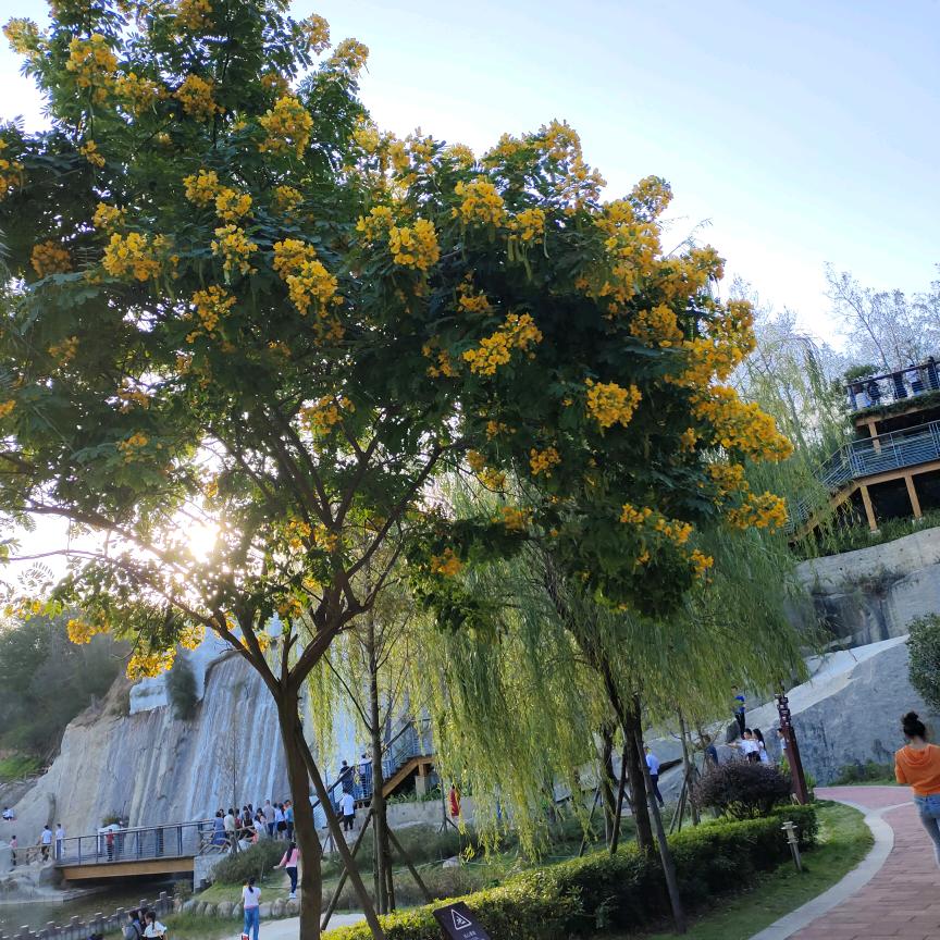 💞蓝色梦境🎊