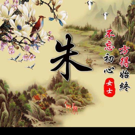 开心（朱世梅）