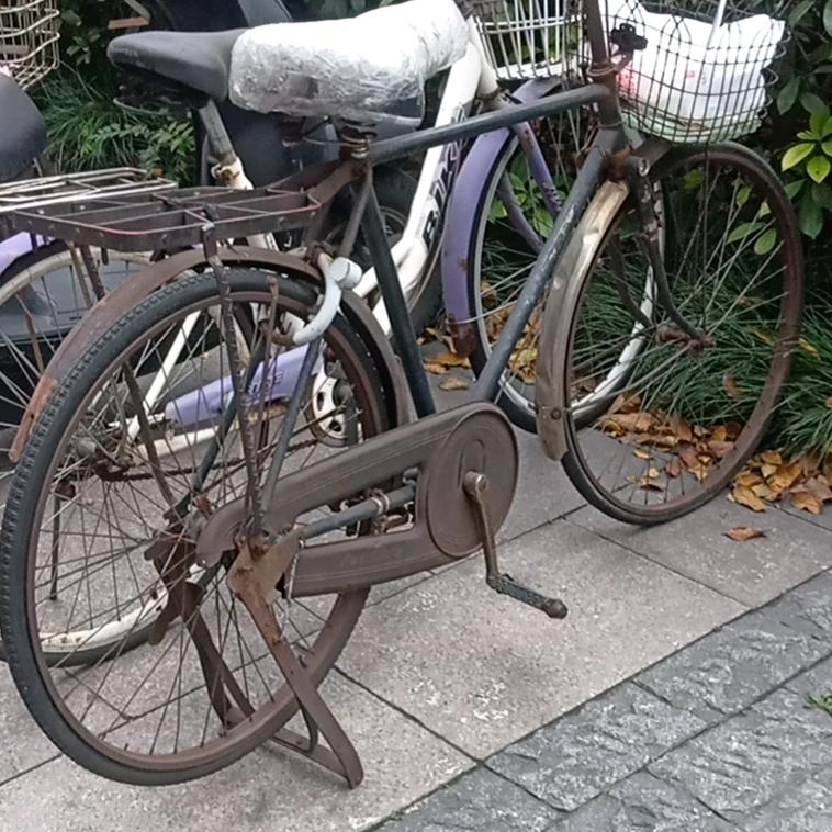 城乡结合部的大师哥