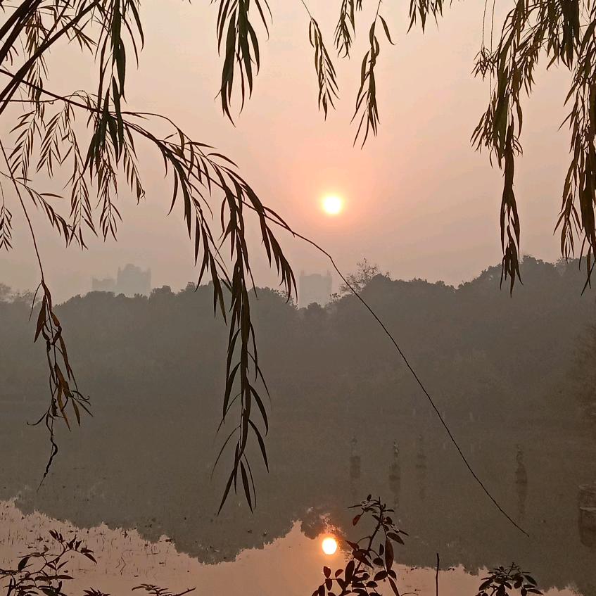 @环境国旅陈陈