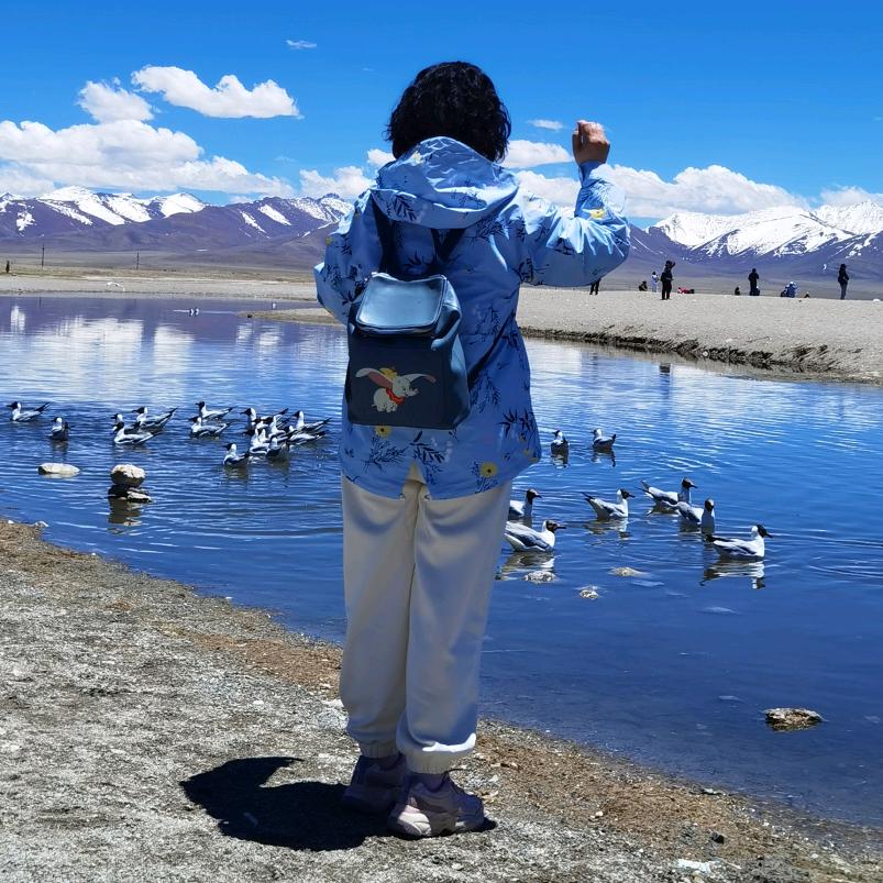 郑志红