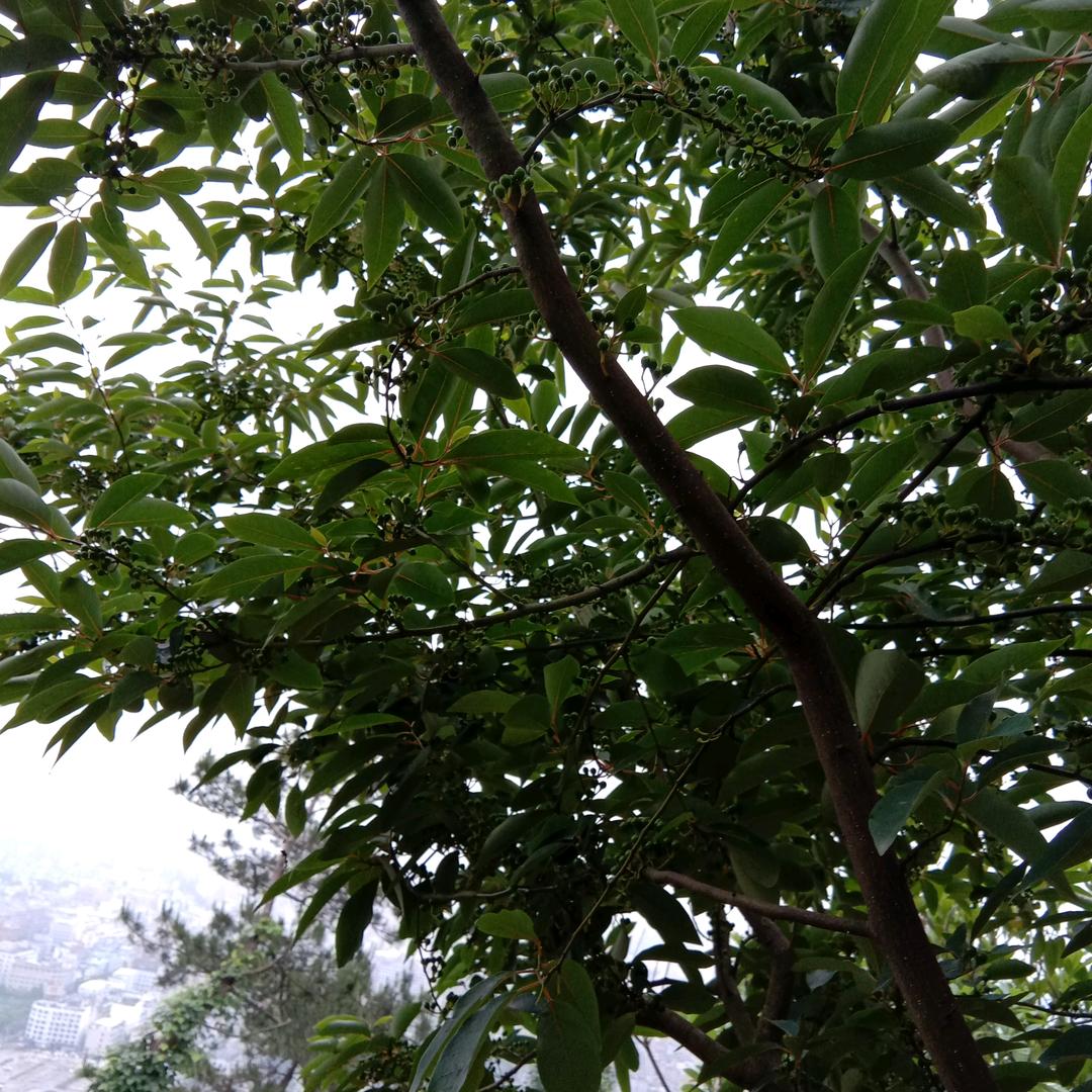 开心过好每一天′