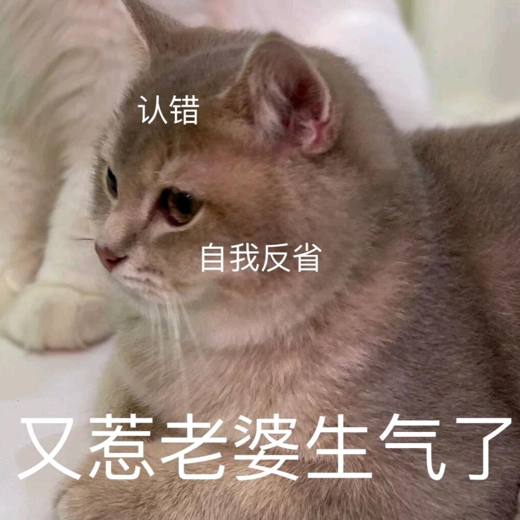 黄小森