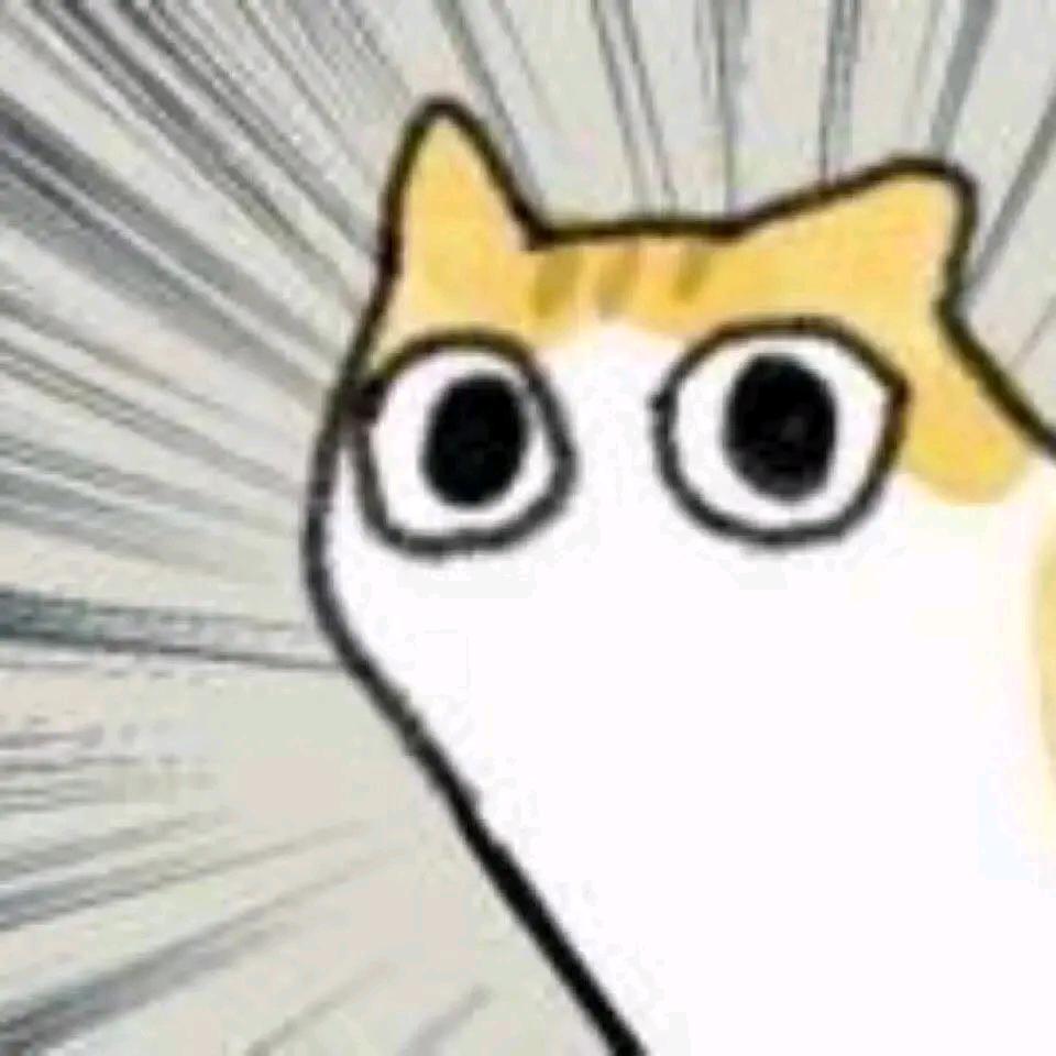 汪喵喵