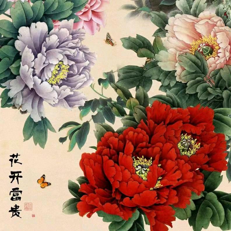 美洋洋