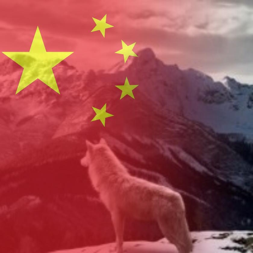 @杰少🧲天秤