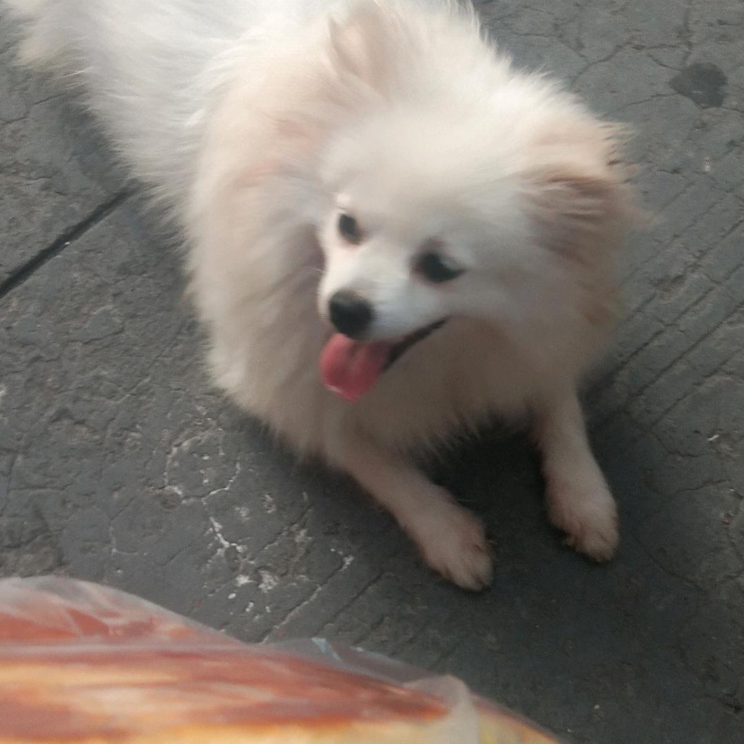 AA国❤️眼镜成品加工现货改品牌烫印镭射