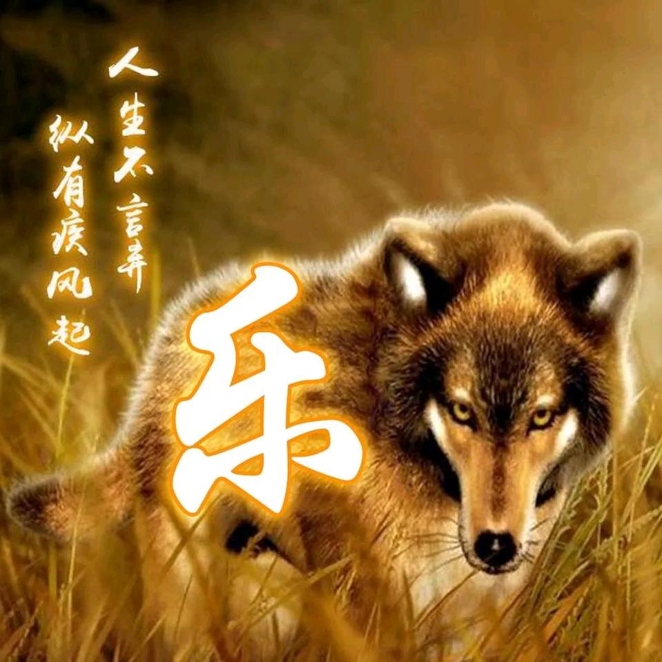 豪情