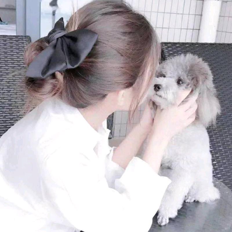 攀枝花财税小杨😊😊