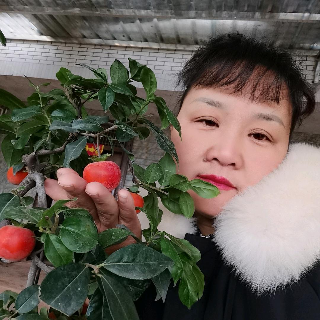 阳世群