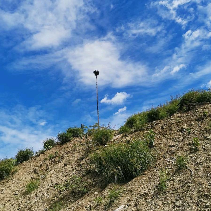 慕贤人力资源阿杰