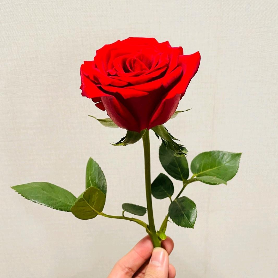 @往后余生（唯）