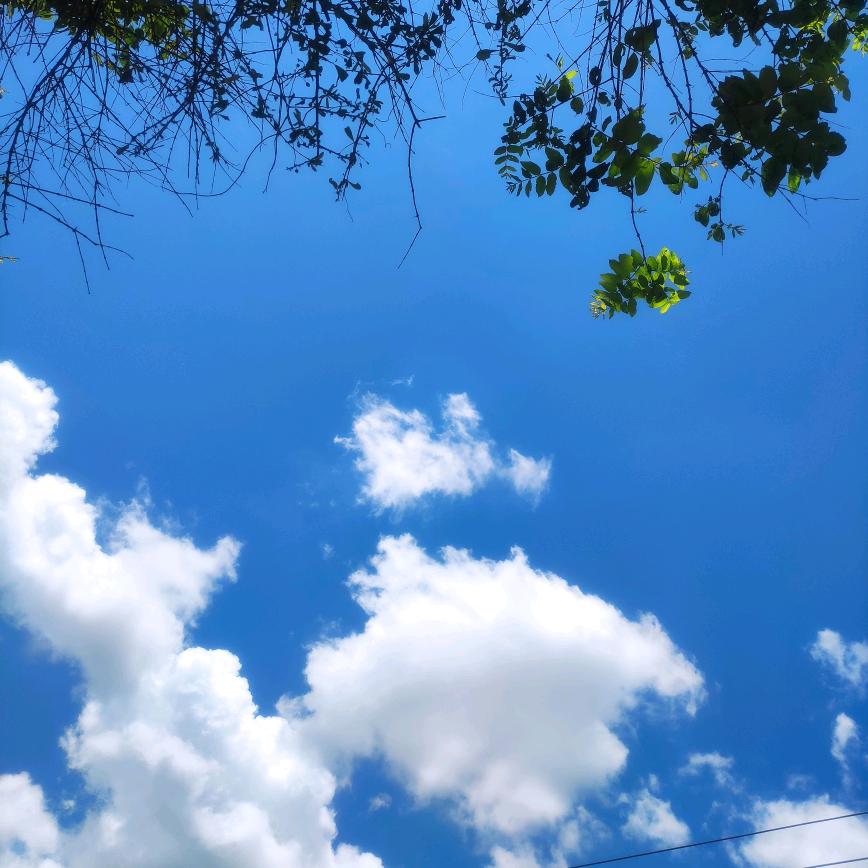 王维