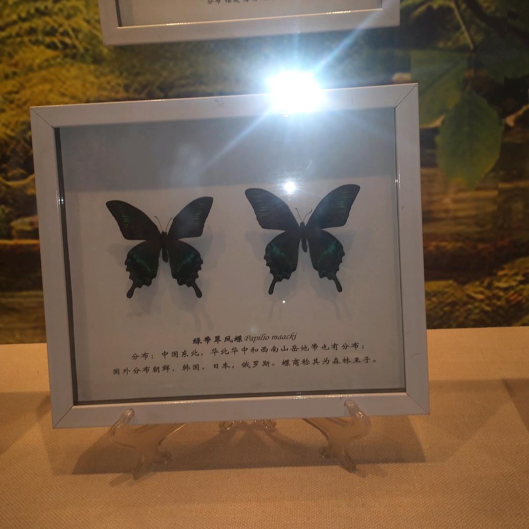暮然回首