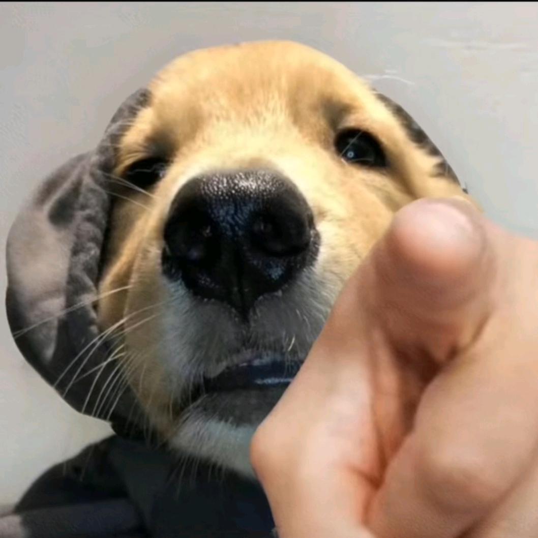 哈哈哈