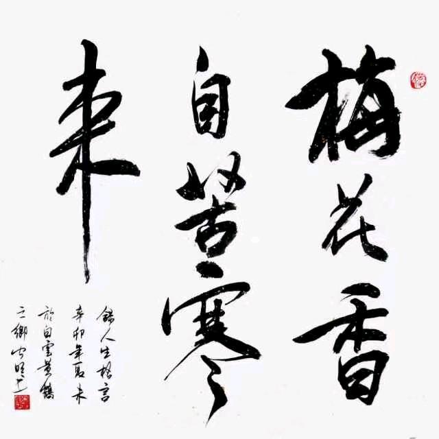 ⚡紫萱