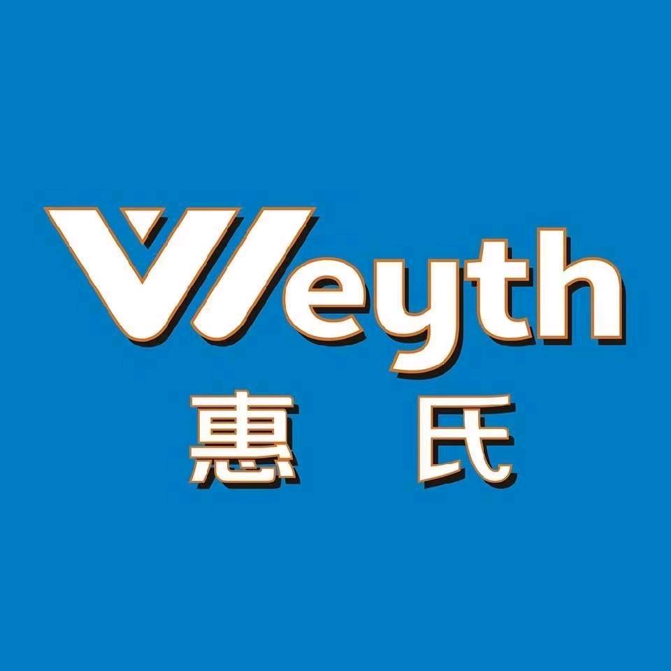 惠氏安全智能锁1