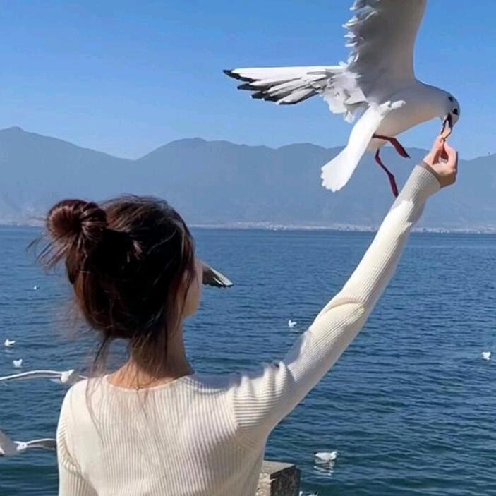 ໑ຼₒ₂₃ღ᭄心已麻木ン怎会痛🕊꧔ꦿ᭄
