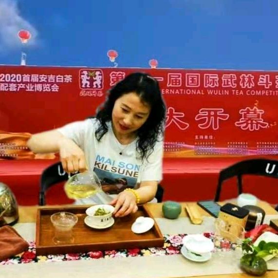 安吉昆铜张家山白茶