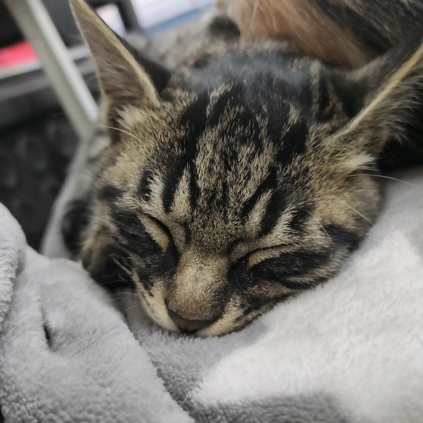 一个不会取名字的人