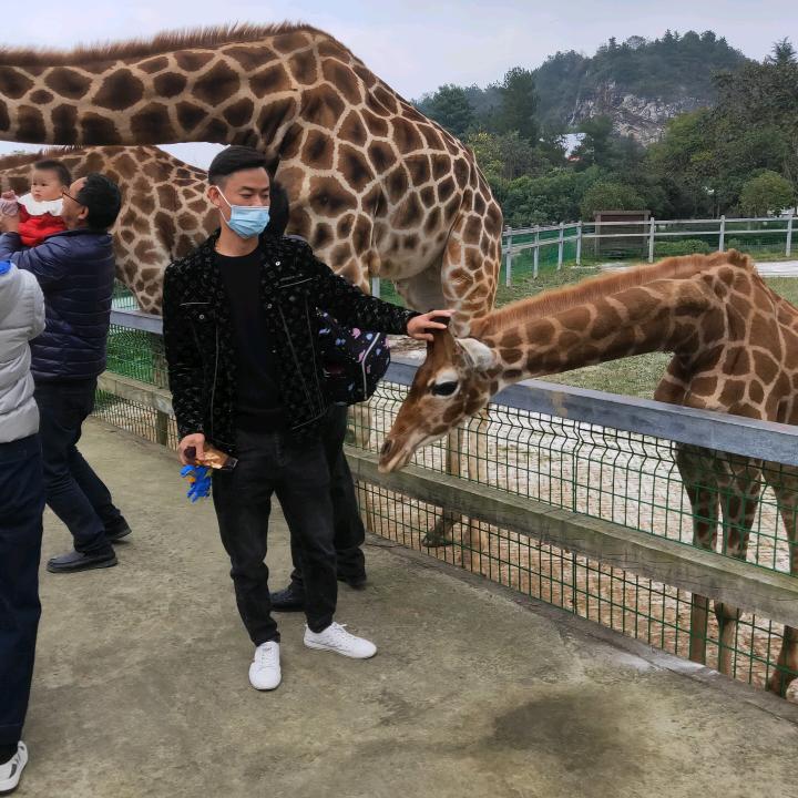 伟园广告加工厂